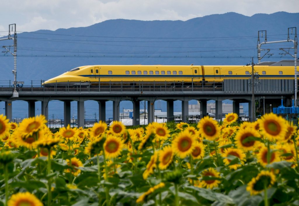 ドクターイエローと大垣のひまわり畑