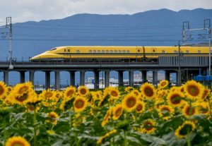 ドクターイエローと大垣のひまわり畑